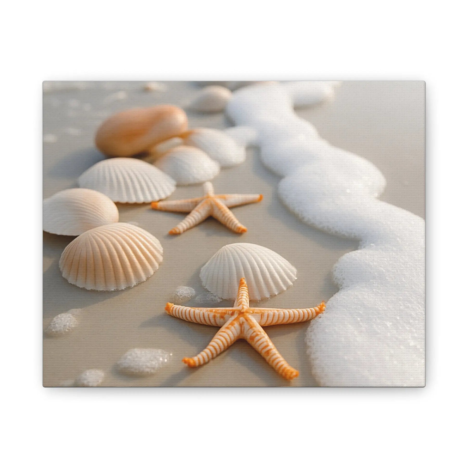 “Coastal Calm” Beach Shell & Starfish Canvas Art Print – Ocean - Inspired Wall Décor - Ocean Photography - ThriveMinded & WellHaven Co