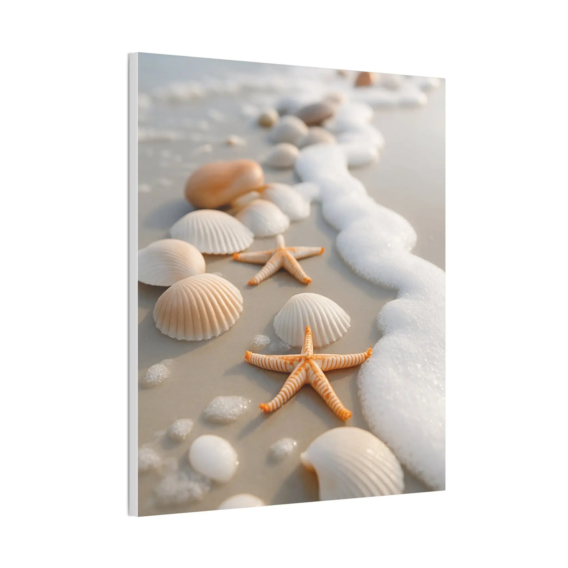 “Coastal Calm” Beach Shell & Starfish Canvas Art Print – Ocean - Inspired Wall Décor - Ocean Photography - ThriveMinded & WellHaven Co