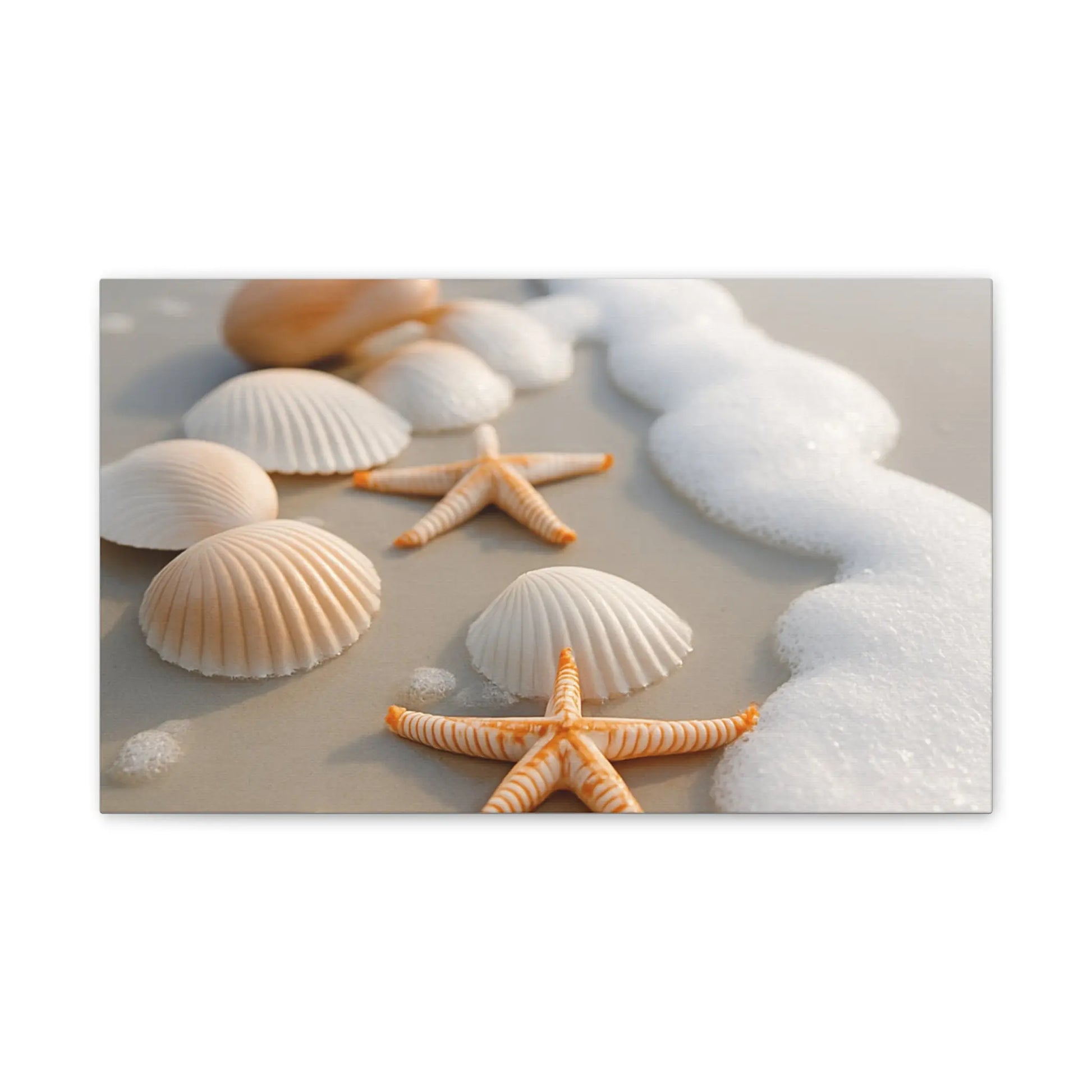 “Coastal Calm” Beach Shell & Starfish Canvas Art Print – Ocean - Inspired Wall Décor - Ocean Photography - ThriveMinded & WellHaven Co