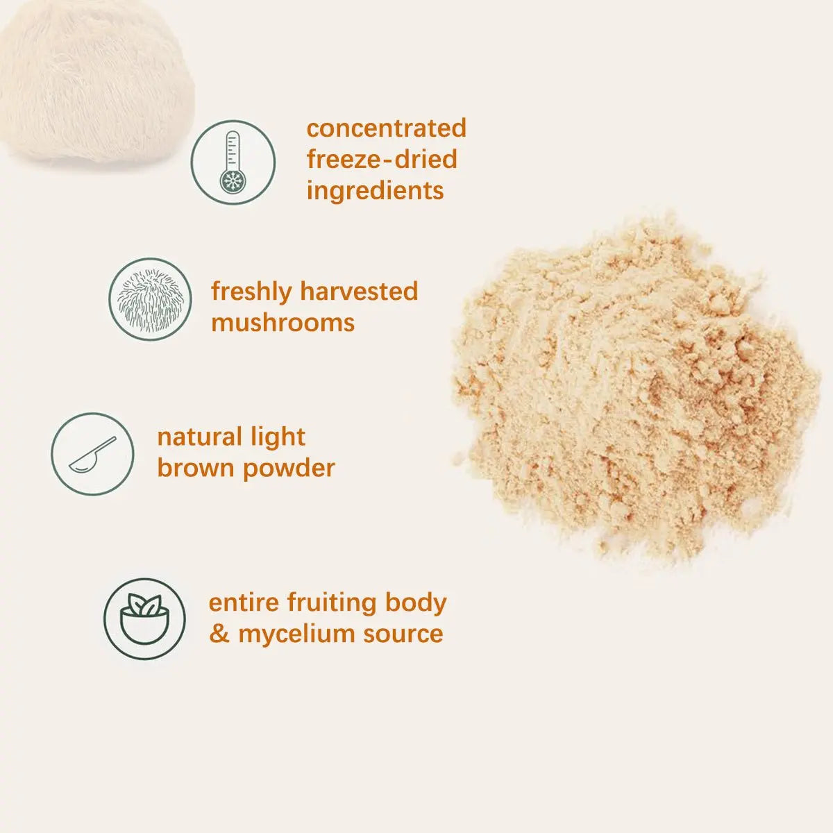 Organic Lion’s Mane Mushroom Powder – Brain & Immune Support Superfood Supplement - ThriveMinded & WellHaven Co